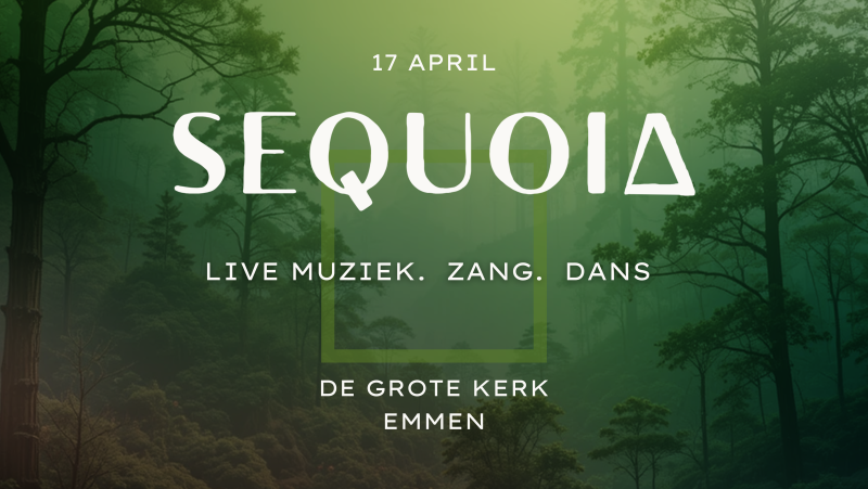 SEQUOIA - Danse libre, Musique live, Ecstatic Dance