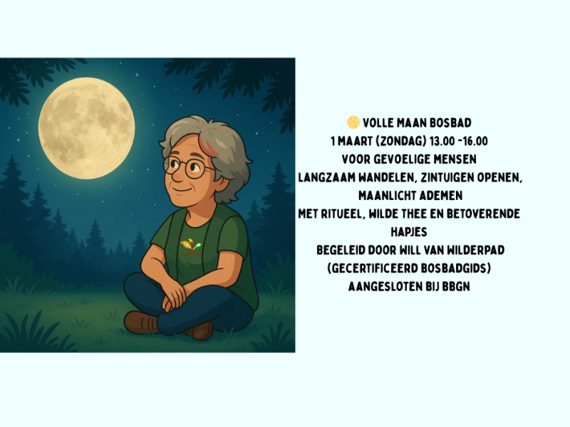 Volle Maan Bosbad (vrouwencircel)