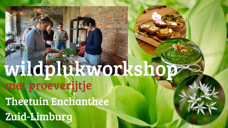 Wildplukworkshop "BERMSNACKEN" Zuid-Limburg