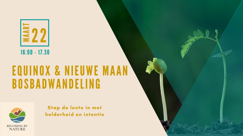 Forest Bathing Walk - Equinox & New Moon