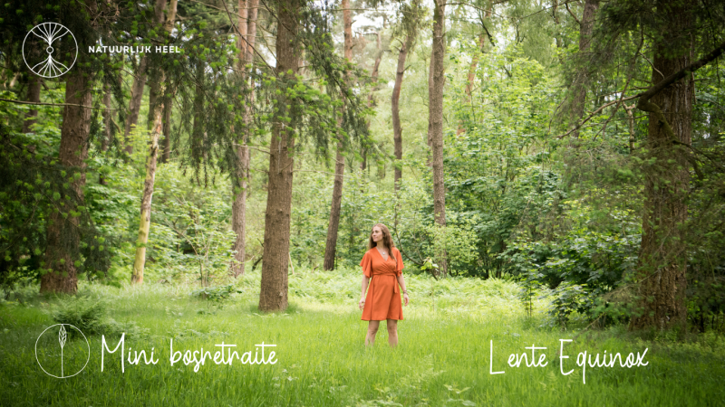 Mini-retraite Ontwaking