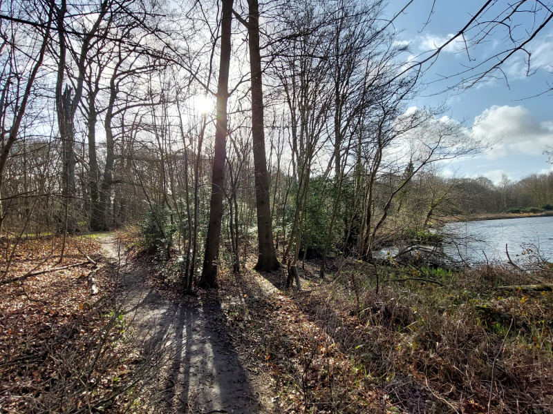 Voogelvrij op pad - Lente - Ontwaken, ruimte maken en groei