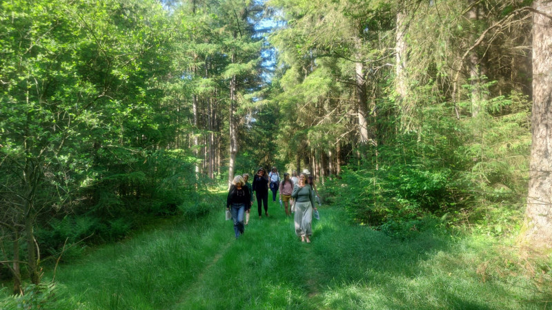 Duik in je natuur weekend - mei - Mini retraite in de natuur, Persoonlijke Ontwikkeling, Verbinding