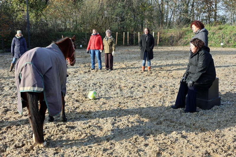 Multidimensionale opstelling met paarden / nabij Breda VOL