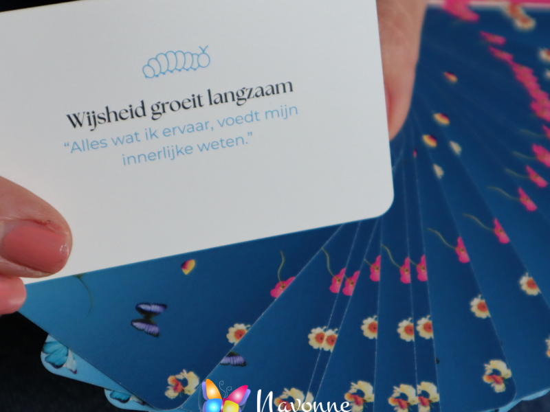 2-daagse Cursus Intuïtieve ontwikkeling