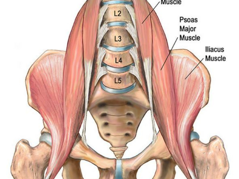 Psoas de Spier van de Ziel - Yoga, Ontspanning, Lichaamsbewustzijn