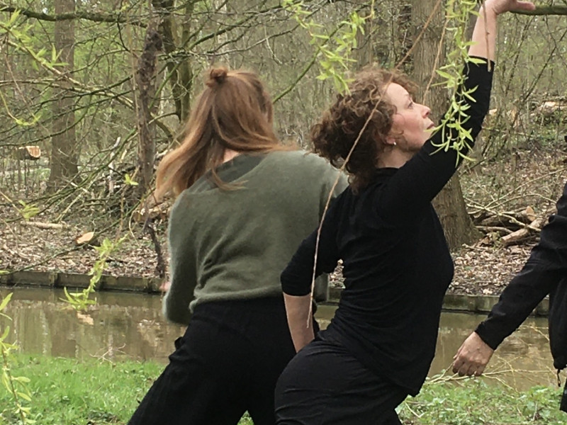 Dans en natuurbeleving in Voedselbos Vlaardingen
