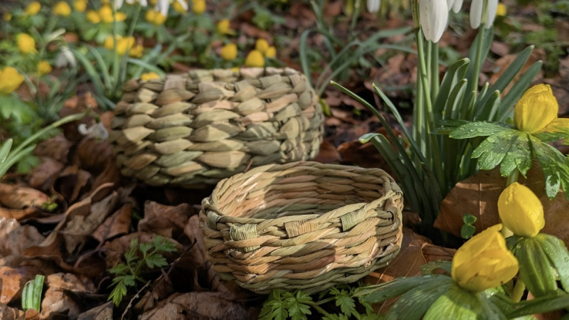 Workshop Weven met lisdodde - Creativiteit, Zelfvoorzienend Leven, Natuur