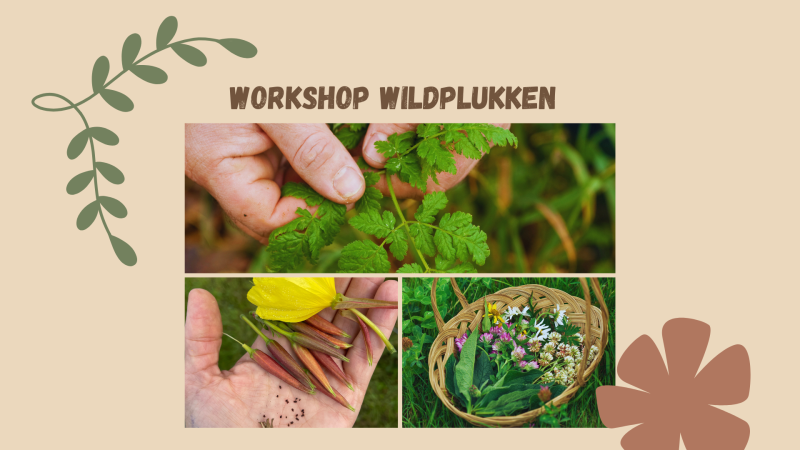Workshop Wildplukken