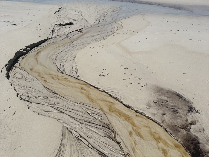 A gentle journey | een lage dosering truffels | manneneditie