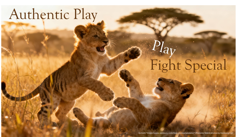 Authentic Play - Fight Special