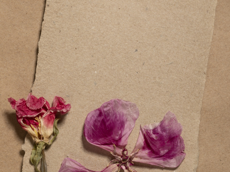 PlantenPlezier workshopserie - Papier maken - Creativiteit, Natuur, Ontspanning