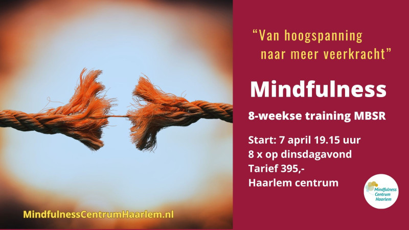 Cursus: Mindfulness (MBSR), start 7 april 19.15 uur, Haarlem centrum