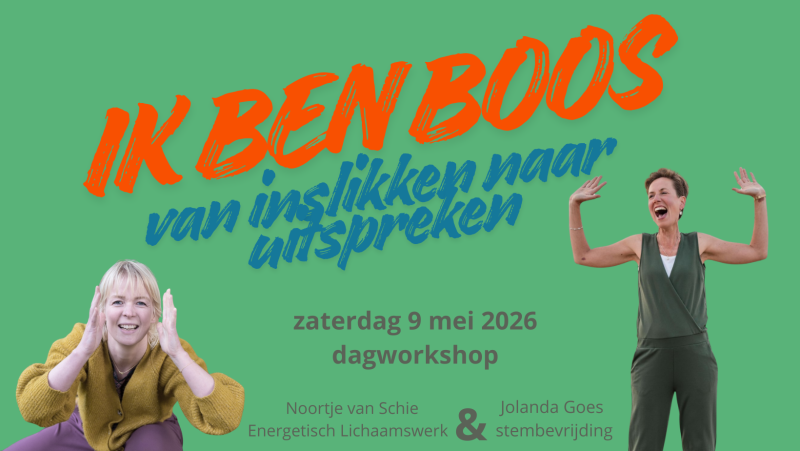 Ik ben BOOS - van inslikken naar uitspreken 