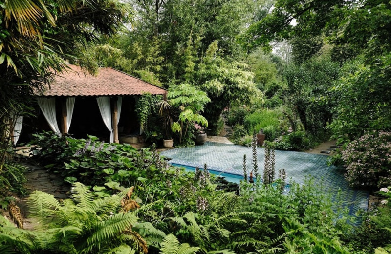 Yoga in de Millinger Theetuin, Early Morning Retreat