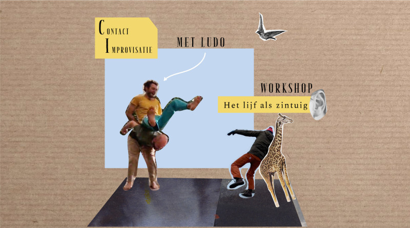 Contact Improvisatie met Ludo - Het lijf als zintuig - Improvisación de contacto, Danza somática, Improvisación de danza