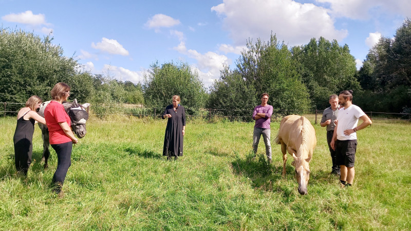 opstellingen in groep, met paarden als energetische ondersteuners