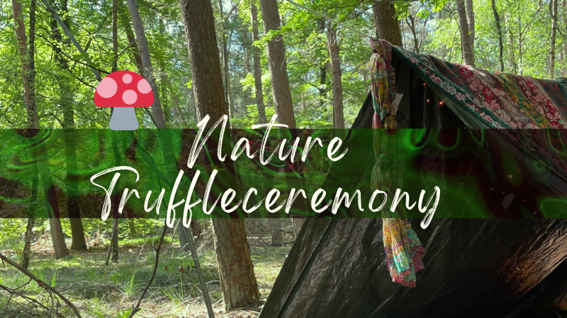 🍄🌳FOREST TRUFFLE / TRUFFEL CEREMONY (MAX 3 PEOPLE) (ENG/NL)🌳🍄 - Truffel Ceremonie, Plantmedicijn, Lichaamswerk