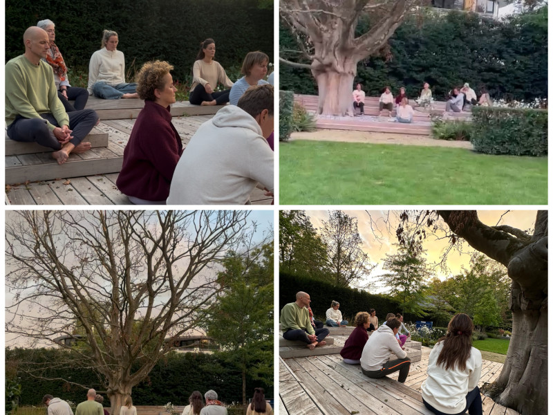 Garden editie: Movement & Breathwork Dordrecht - Ademwerk, Movement, Verbinding