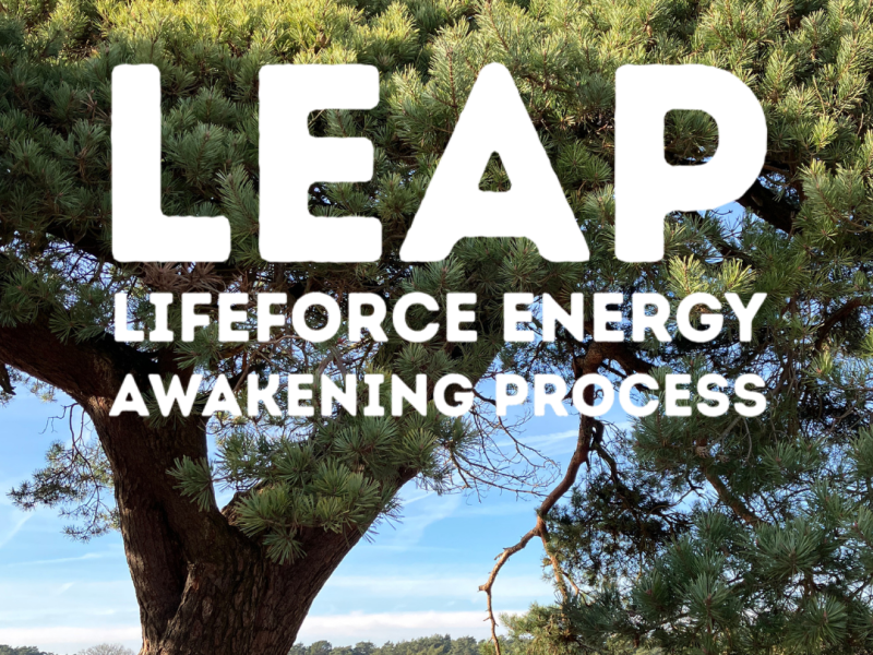 Leap with Jacky ~ Lifeforce Energy Awakening Process ~ Gouda