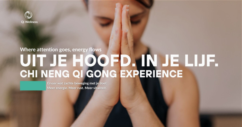 CHI NENG QI GONG EXPERIENCE - Qi Gong, Santé, Travail énergétique