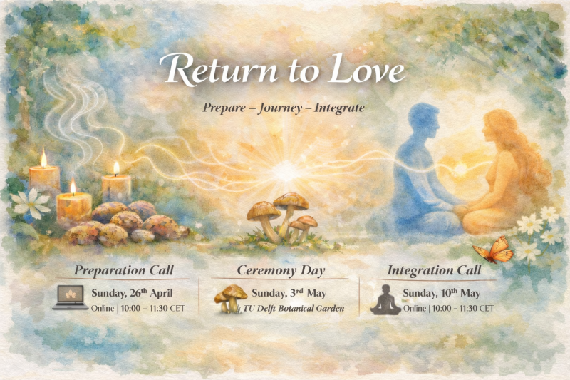 Return to Love- Day Truffle Retreat - Truffel Ceremonie, Plantmedicijn