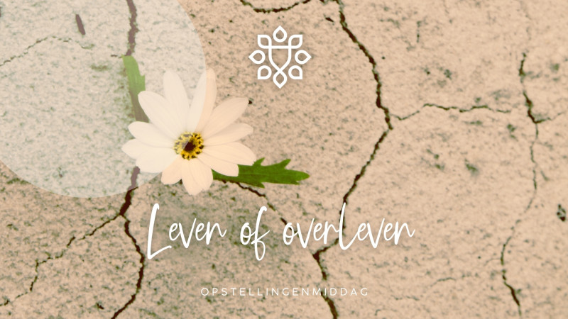 Opstellingenmiddag in Tiel - ❤️‍🔥 Leven of overleven