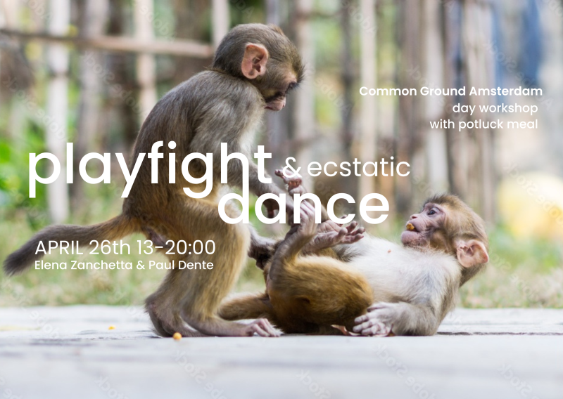 Playfight & Ecstatic Dance (QUEEN's NIGHT EDITION) - Ecstatic Dance, Playfulness, Authentic Relating