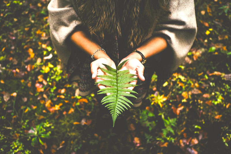 Deep Dive into Nature
