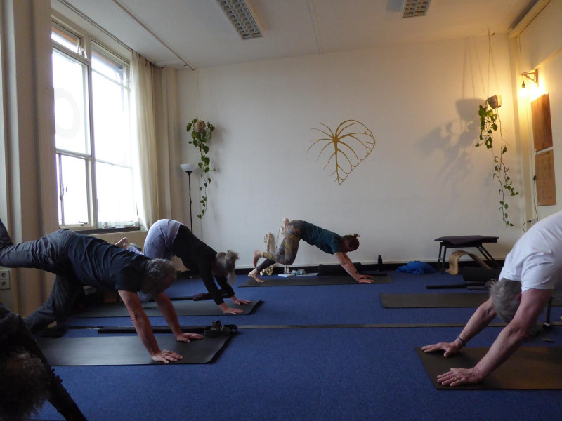 Critical Alignment Yogales (90 min)