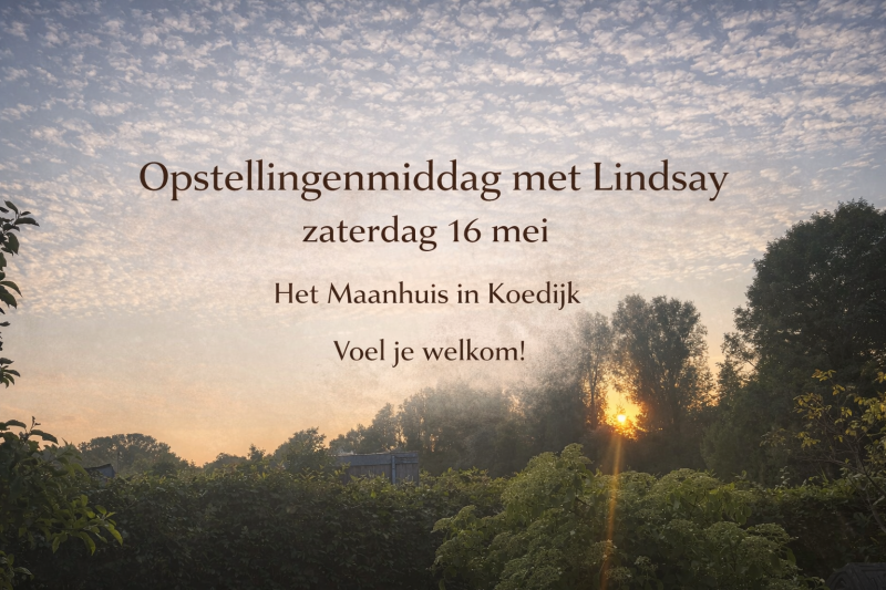 Opstellingenmiddag met Lindsay - Constellations familiales, Travail énergétique, Travail systémique