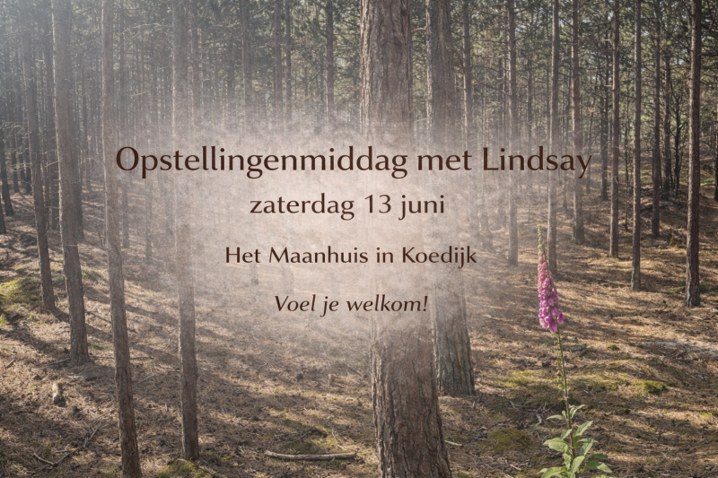Opstellingenmiddag met Lindsay - Constellations familiales, Travail énergétique, Travail systémique