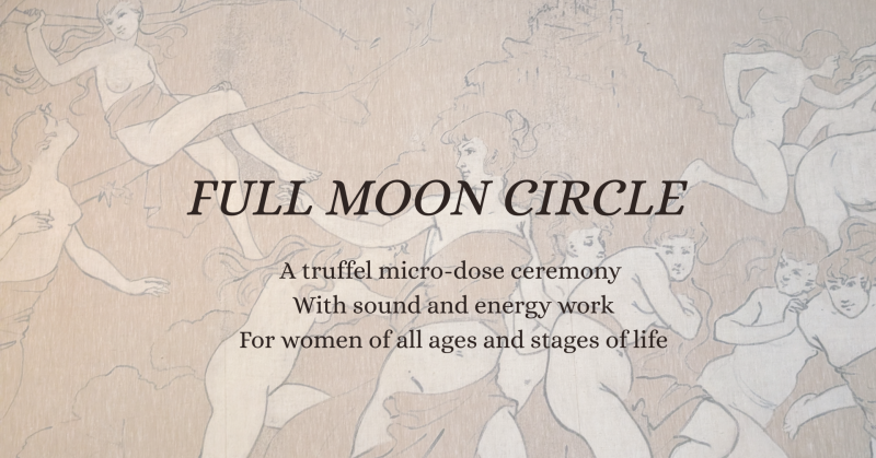 Autumn Equinox: a micro-dose journey for women