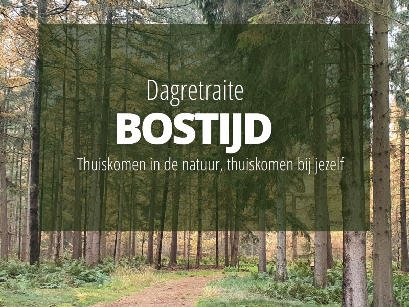 Bostijd