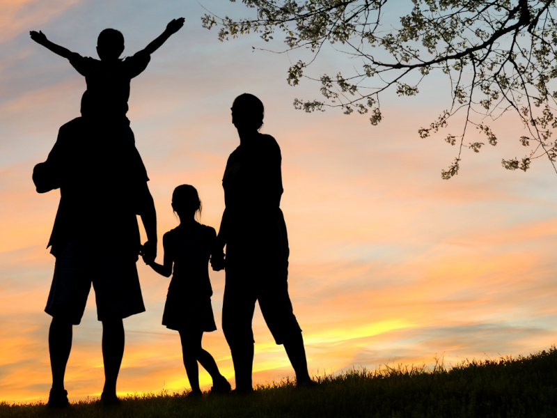 Workshop familieopstellingen | Introductieavond - Familieopstellingen, Systemisch werk, Innerlijk Kind