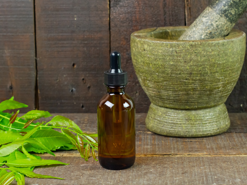 Workshop Ayurvedic Autumn Balance