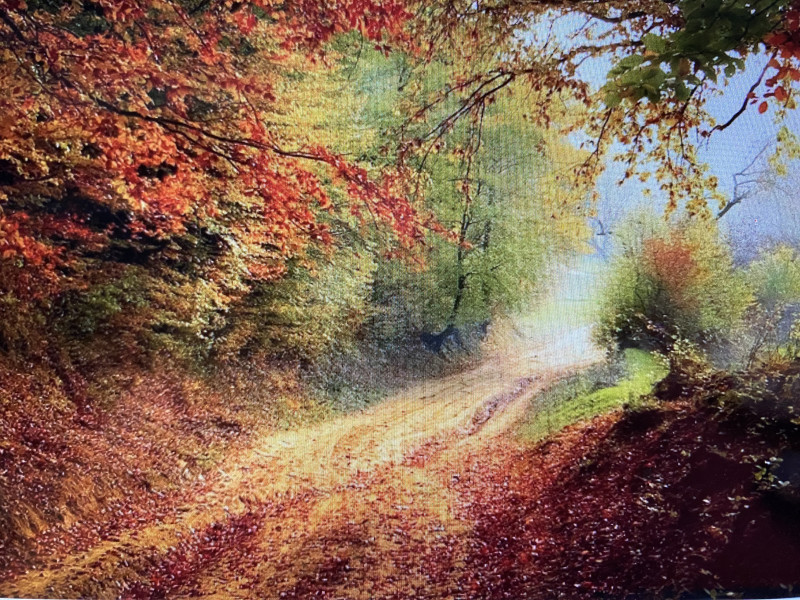 Mabon/  Herfst Equinox jaarfeestviering