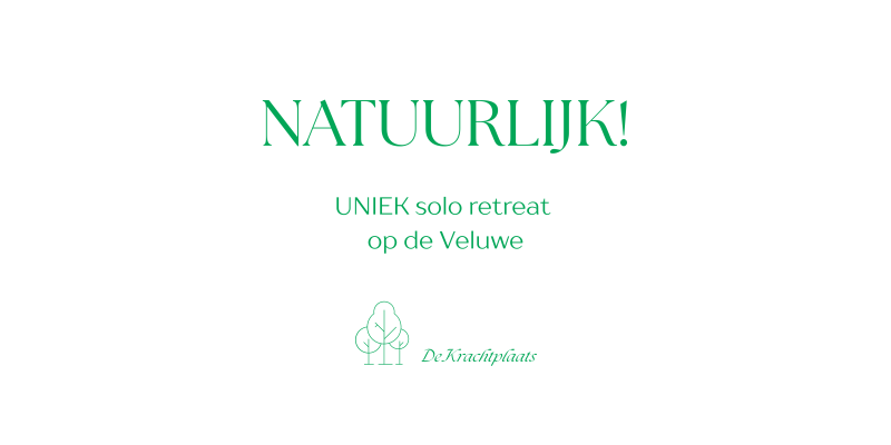 Solo Retreat op de Veluwe 