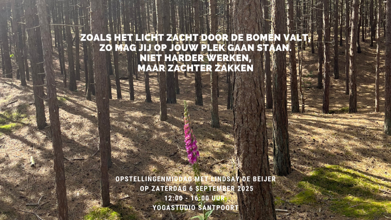 Opstellingenmiddag met Lindsay de Beijer - Constellations familiales, Travail systémique, Développement personnel