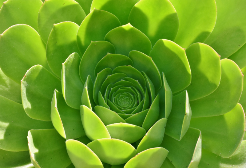 Coaching & dansopstellingen