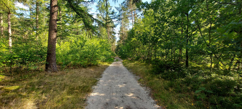 STILTE IN EENVOUD
