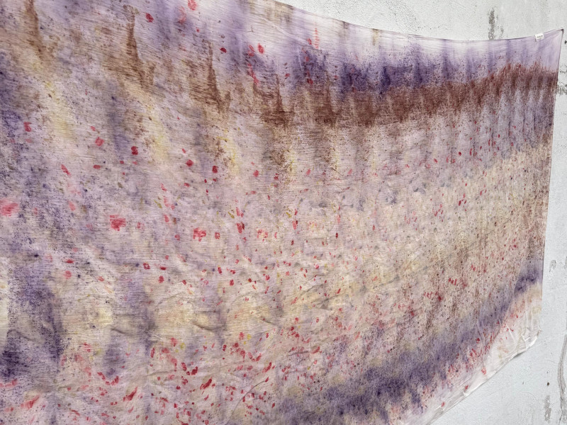 Natural dye & textile workshop in Amsterdam