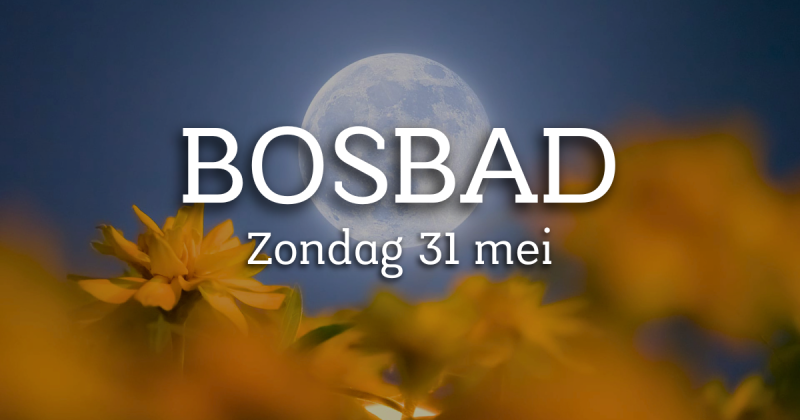 Volle maan Bosbad