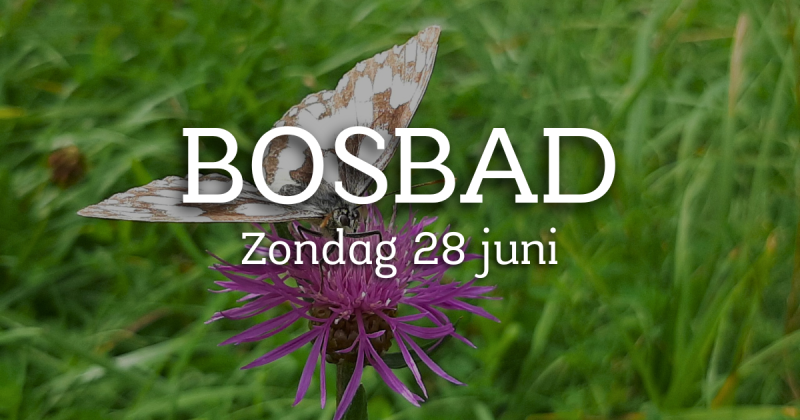 Zomer Bosbad