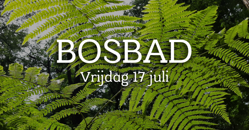 Zomer avond Bosbad