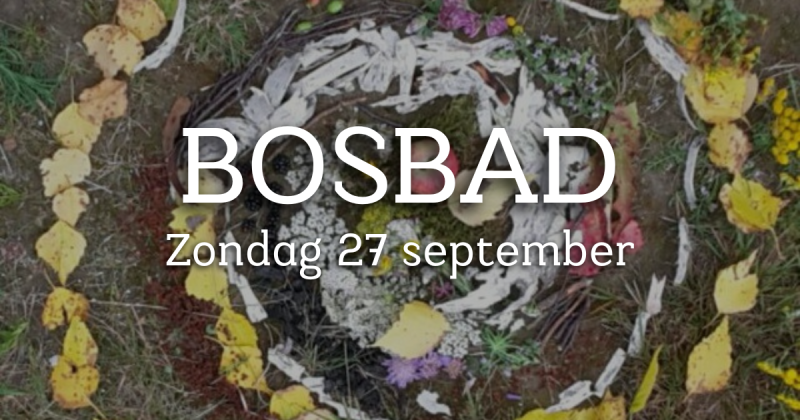 Herfst Bosbad