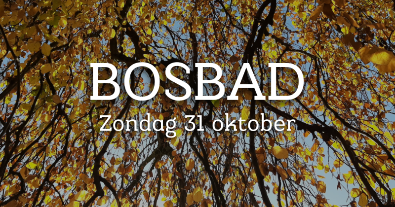 Samhain Bosbad
