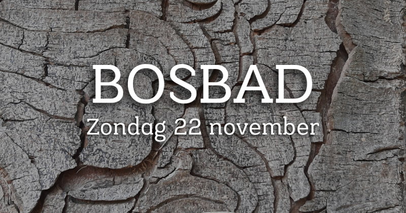 Winter Bosbad