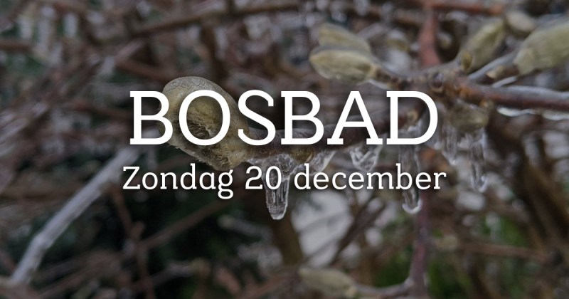 Rust en bezinning Bosbad