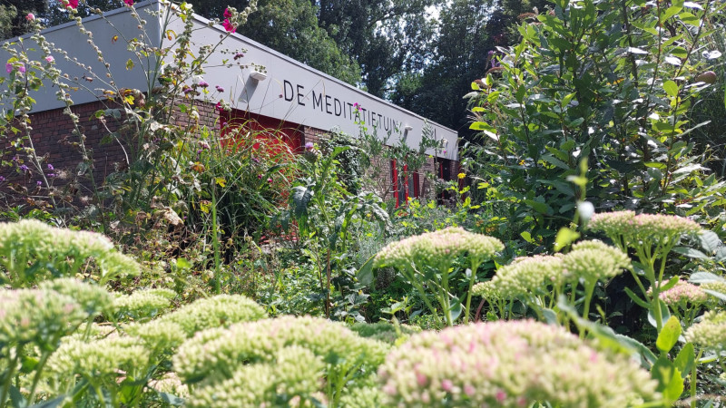 OPEN DAG Meditatietuin - Zachte kracht  - Meditation, Gatherings, Community Building